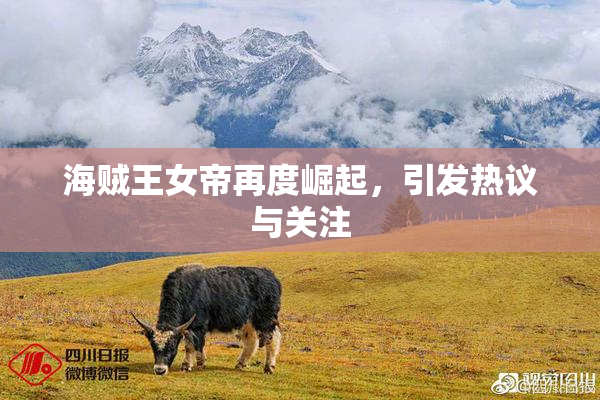 海贼王女帝再度崛起，引发热议与关注