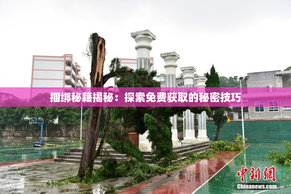 捆绑秘籍揭秘：探索免费获取的秘密技巧