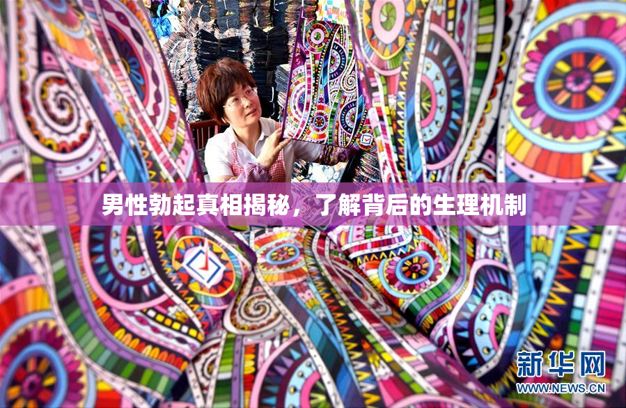 男性勃起真相揭秘，了解背后的生理机制