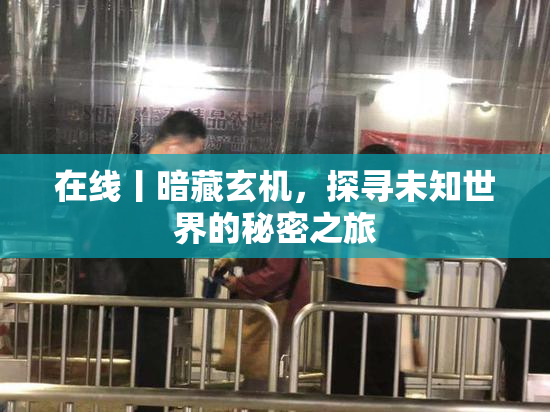 在线丨暗藏玄机，探寻未知世界的秘密之旅