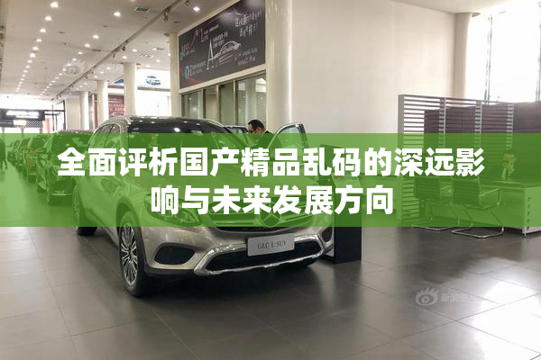 全面评析国产精品乱码的深远影响与未来发展方向