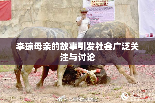 李琼母亲的故事引发社会广泛关注与讨论