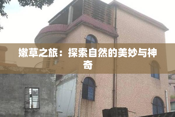 嫩草之旅：探索自然的美妙与神奇
