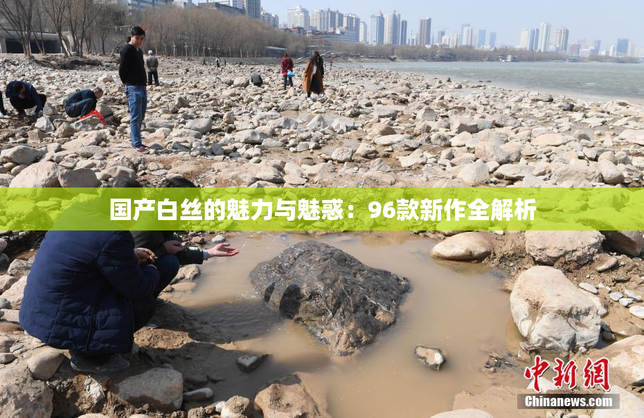 国产白丝的魅力与魅惑：96款新作全解析