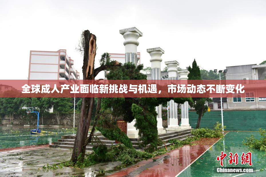 全球成人产业面临新挑战与机遇，市场动态不断变化