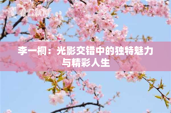 李一桐：光影交错中的独特魅力与精彩人生