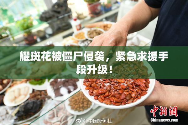 耀斑花被僵尸侵袭，紧急求援手段升级！