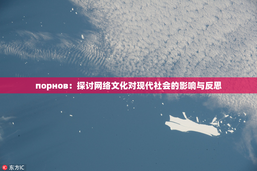 порнов：探讨网络文化对现代社会的影响与反思