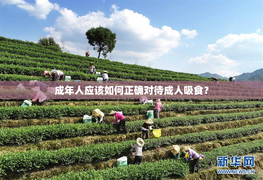 成年人应该如何正确对待成人吸食？