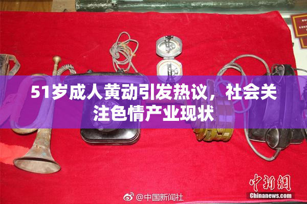 51岁成人黄动引发热议，社会关注色情产业现状