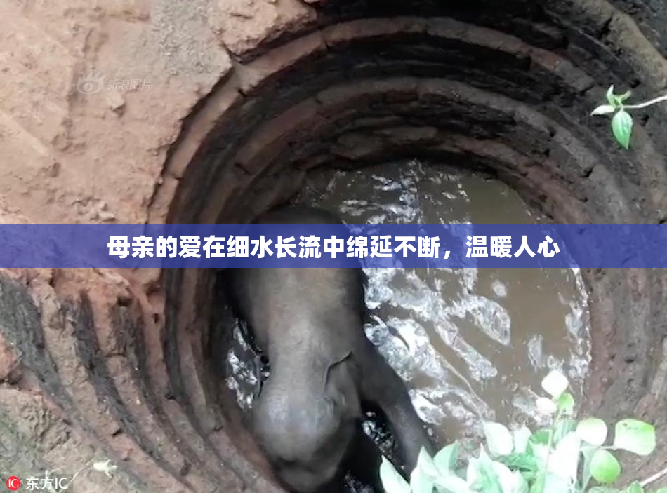 母亲的爱在细水长流中绵延不断，温暖人心