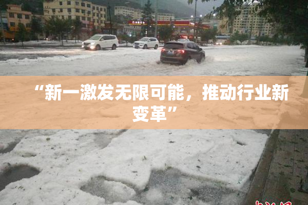 “新一激发无限可能，推动行业新变革”