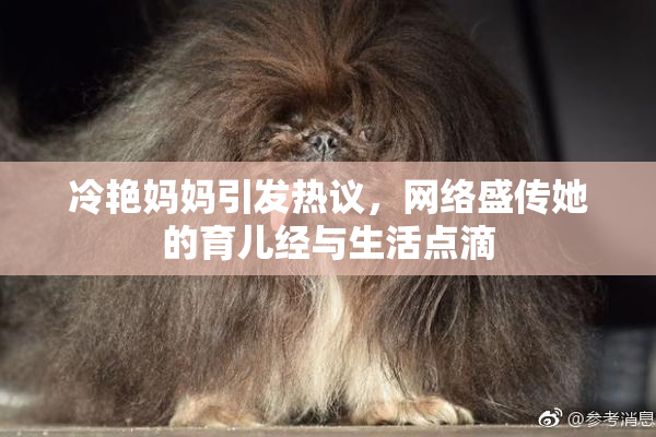 冷艳妈妈引发热议，网络盛传她的育儿经与生活点滴