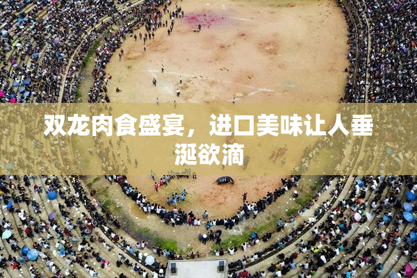 双龙肉食盛宴，进口美味让人垂涎欲滴