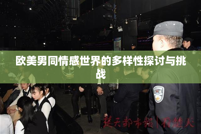 欧美男同情感世界的多样性探讨与挑战