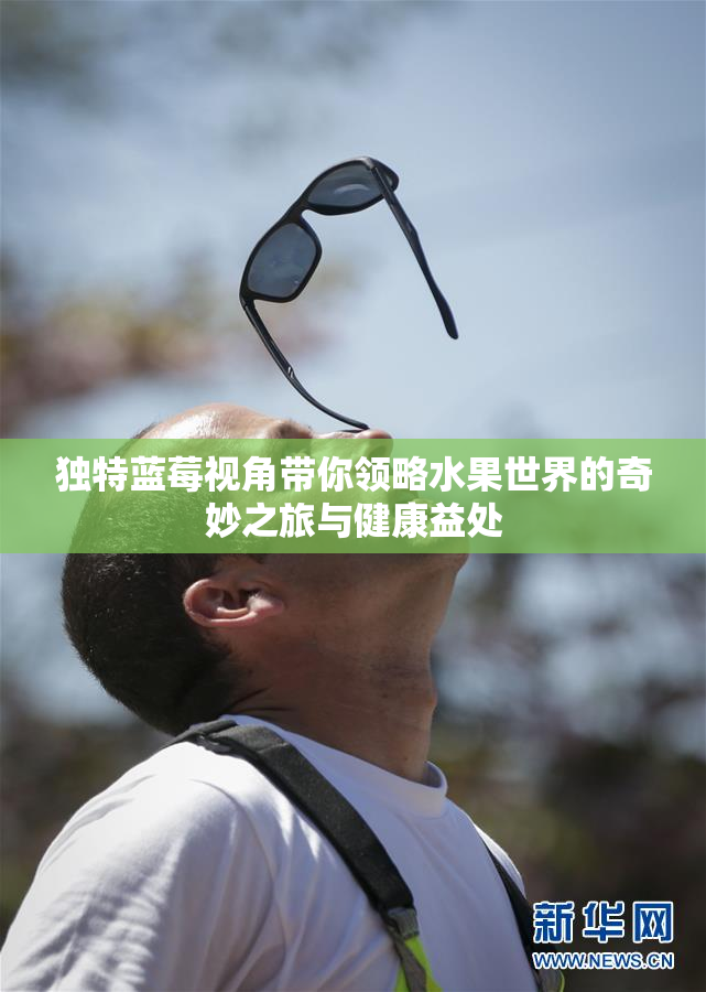 独特蓝莓视角带你领略水果世界的奇妙之旅与健康益处