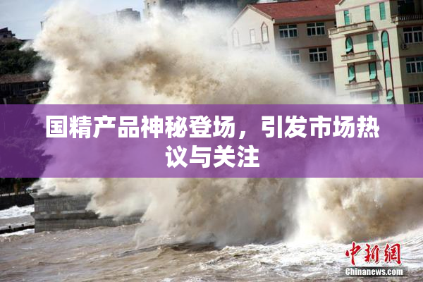 国精产品神秘登场，引发市场热议与关注