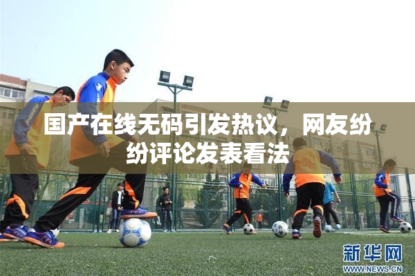 国产在线无码引发热议，网友纷纷评论发表看法