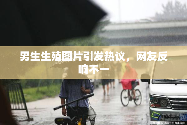 男生生殖图片引发热议，网友反响不一