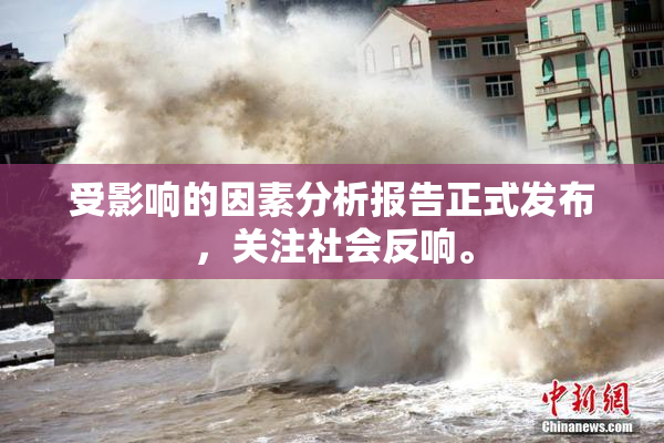 受影响的因素分析报告正式发布，关注社会反响。