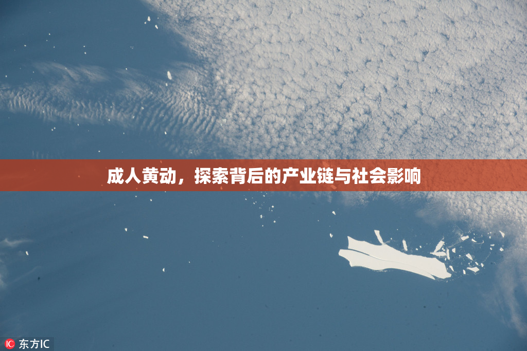 成人黄动，探索背后的产业链与社会影响