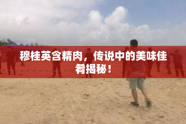 穆桂英含精肉，传说中的美味佳肴揭秘！