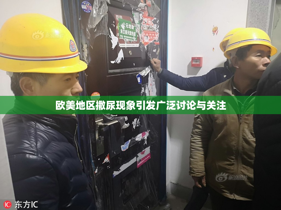 欧美地区撒尿现象引发广泛讨论与关注