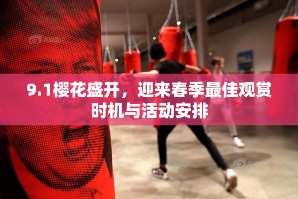 9.1樱花盛开，迎来春季最佳观赏时机与活动安排