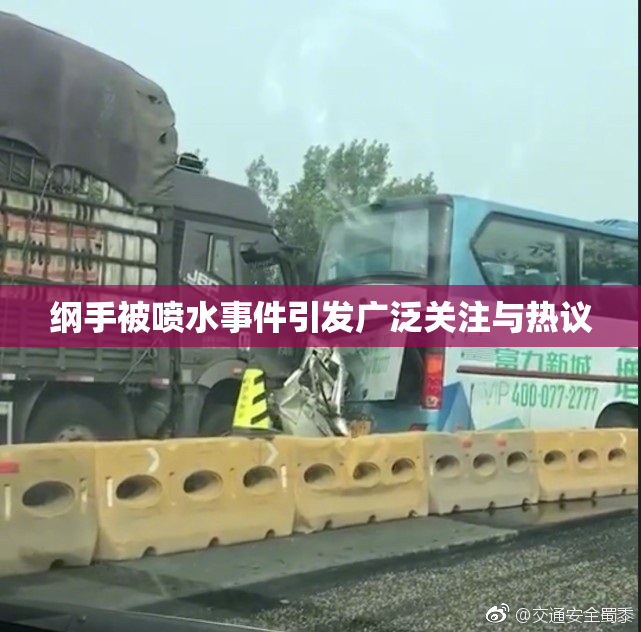 纲手被喷水事件引发广泛关注与热议