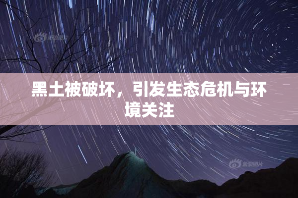 黑土被破坏，引发生态危机与环境关注