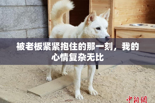 被老板紧紧抱住的那一刻，我的心情复杂无比