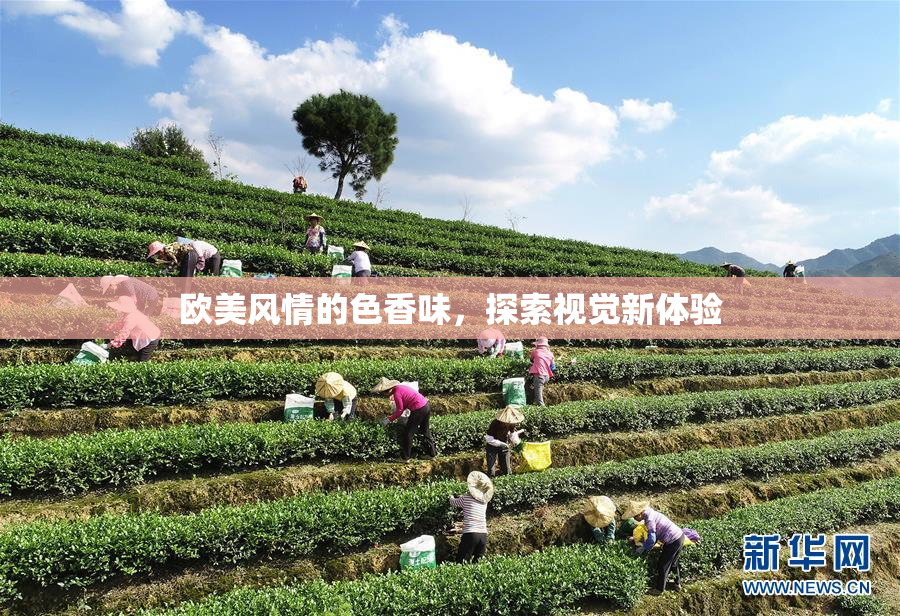 欧美风情的色香味，探索视觉新体验