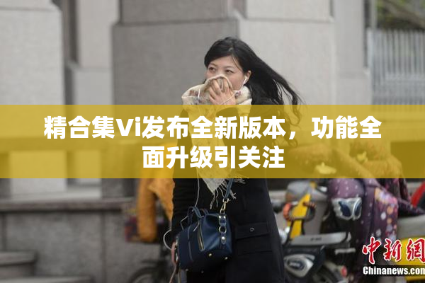 精合集Vi发布全新版本，功能全面升级引关注