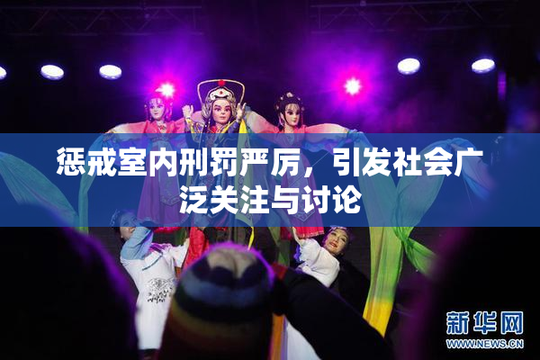 惩戒室内刑罚严厉，引发社会广泛关注与讨论