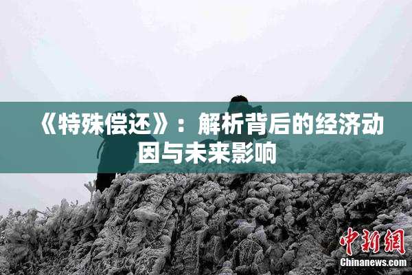 《特殊偿还》：解析背后的经济动因与未来影响
