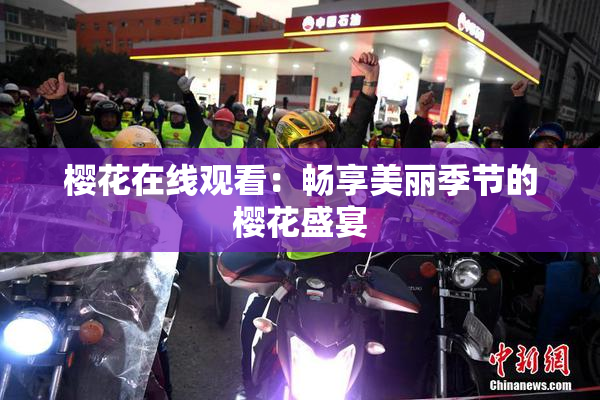 樱花在线观看：畅享美丽季节的樱花盛宴