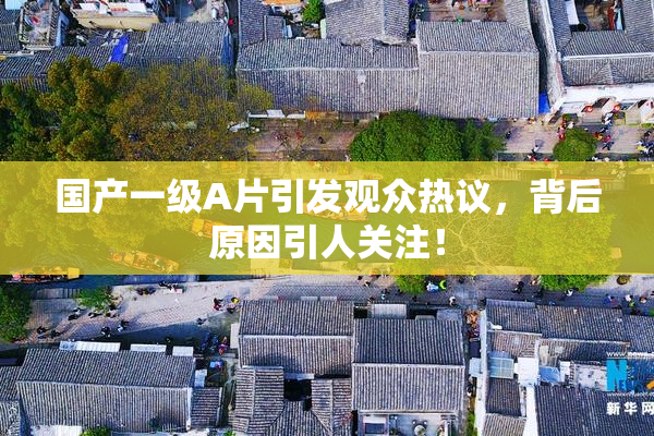 国产一级A片引发观众热议，背后原因引人关注！
