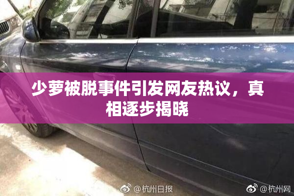 少萝被脱事件引发网友热议，真相逐步揭晓