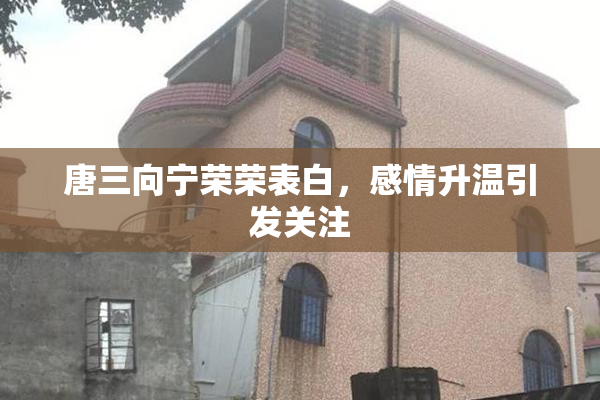 唐三向宁荣荣表白，感情升温引发关注