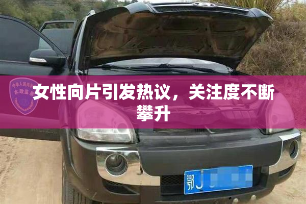 女性向片引发热议，关注度不断攀升