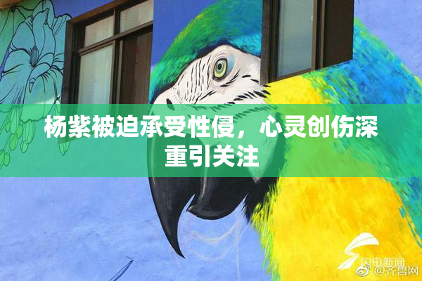 杨紫被迫承受性侵，心灵创伤深重引关注