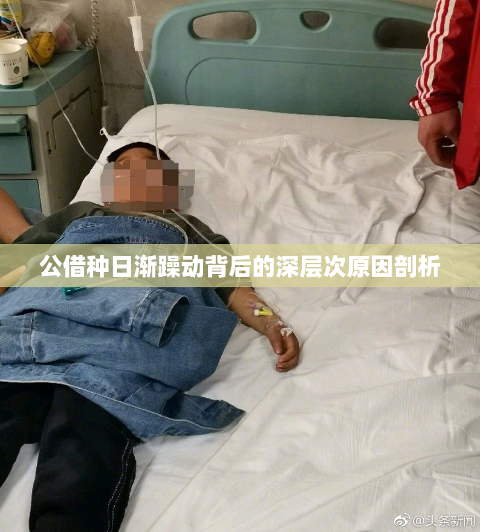 公借种日渐躁动背后的深层次原因剖析