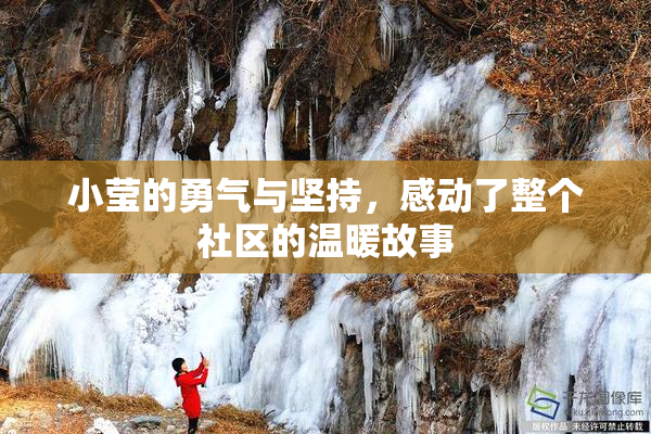 小莹的勇气与坚持，感动了整个社区的温暖故事