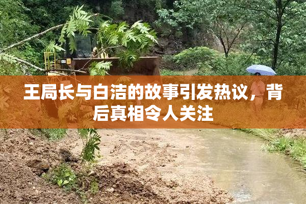 王局长与白洁的故事引发热议，背后真相令人关注