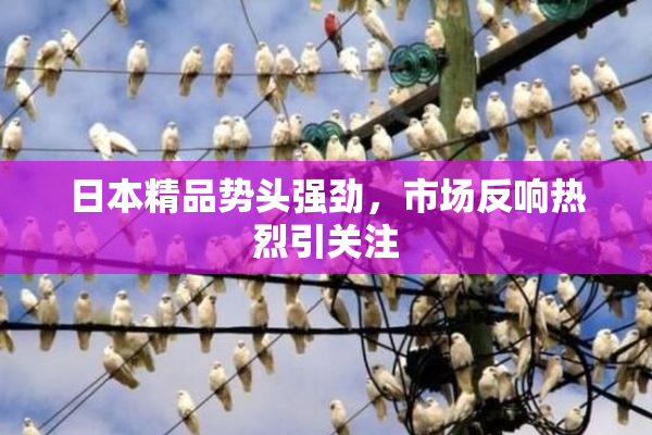 日本精品势头强劲，市场反响热烈引关注