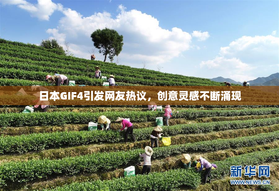 日本GIF4引发网友热议，创意灵感不断涌现