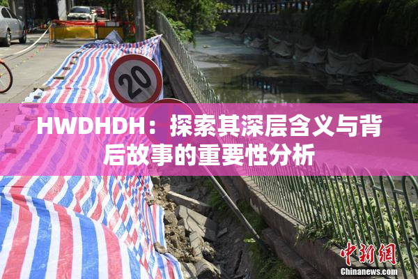 HWDHDH：探索其深层含义与背后故事的重要性分析