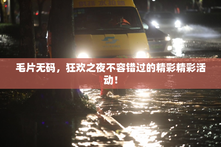 毛片无码，狂欢之夜不容错过的精彩精彩活动！