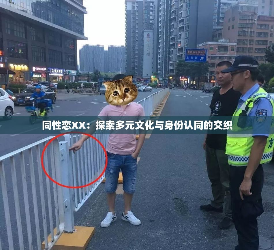 同性恋XX：探索多元文化与身份认同的交织