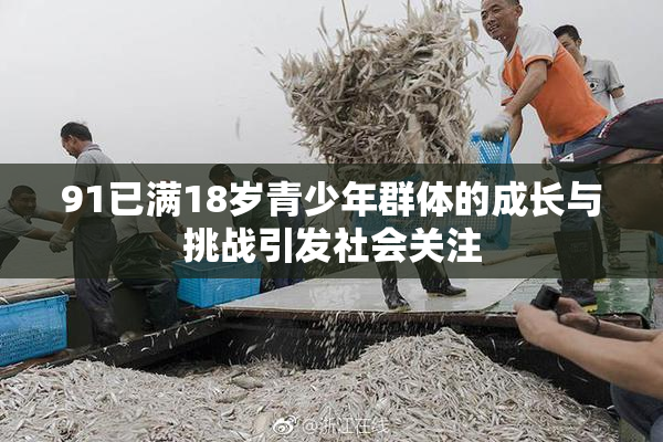 91已满18岁青少年群体的成长与挑战引发社会关注